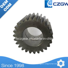 Transmission Gear Planetary Gear for Construction Machinery